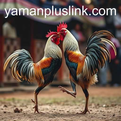 Cockfighting